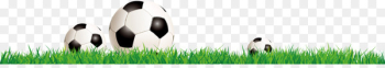 Brand Logo Grasses - Soccer player background,Football background image 