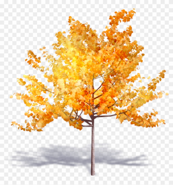 Brand New Autumn Trees Are Available On Polantis Platform - Autumn Tree Brand New Autumn Trees Are Available On Polantis Platform - Autumn Tree