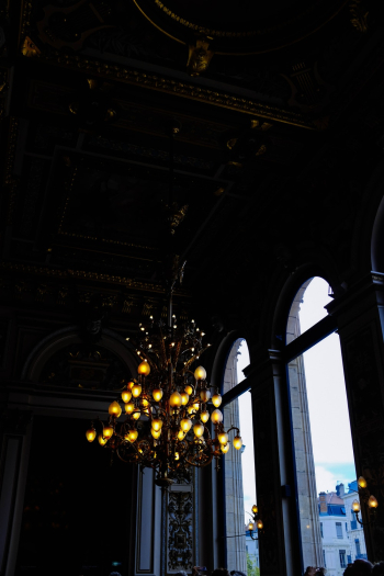 Brass-colored Chandelier Brass-colored Chandelier