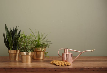 brass-colored garden water can on brown table brass-colored garden water can on brown table