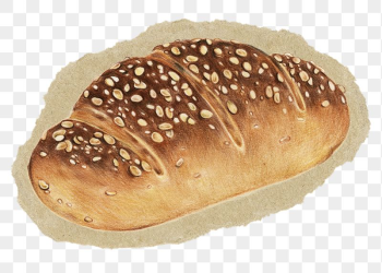 Bread roll png sticker, ripped | Free PNG Illustration - rawpixel Bread roll png sticker, ripped | Free PNG Illustration - rawpixel