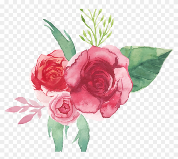 Bridal - Red Rose Watercolor Png Bridal - Red Rose Watercolor Png