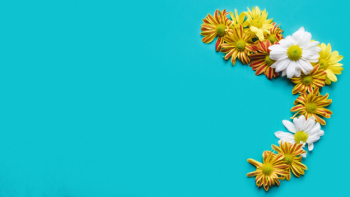Bright daisy composition Bright daisy composition