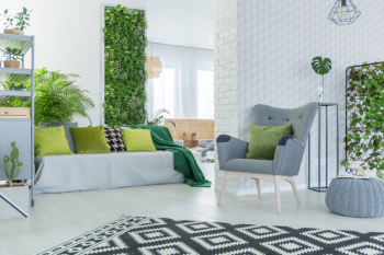 Bright living room with sofa, armchair, pouf and green plants