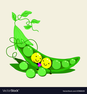 bright of peas bright of peas