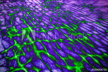 Bright psychedelic background Bright psychedelic background