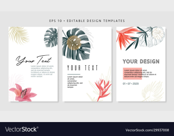 bright tropical design template text area