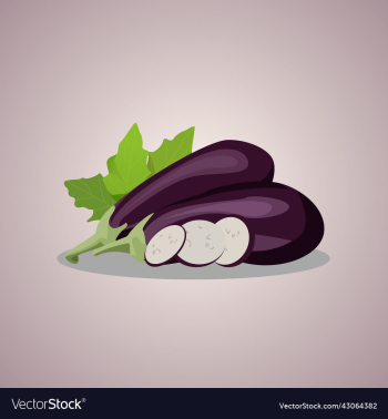 brinjal brinjal