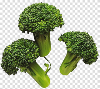 Broccoli Vegetable Cabbage, Broccoli transparent background PNG clipart Broccoli Vegetable Cabbage, Broccoli transparent background PNG clipart