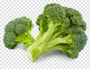 Broccoli vegetables illustration, Broccoli Brussels sprout Capitata Group Vegetable Cauliflower, broccoli transparent background PNG clipart