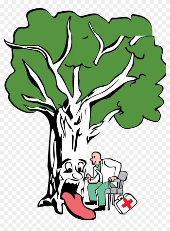 Brockley Tree Service Brockley Tree Service