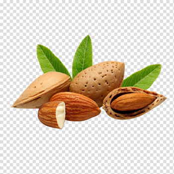Brown almonds, Bajaj Almond Drops Hair Oil Nut Bajaj Almond Drops Hair Oil Food, walnut transparent background PNG clipart