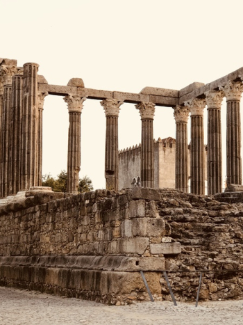 Brown Ancient Ruins Brown Ancient Ruins