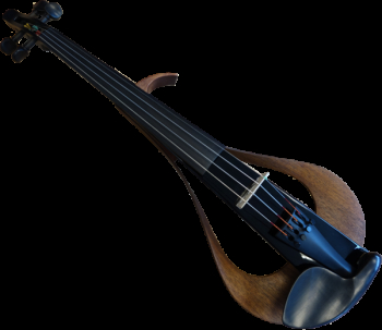 Brown and Black Violin Brown and Black Violin