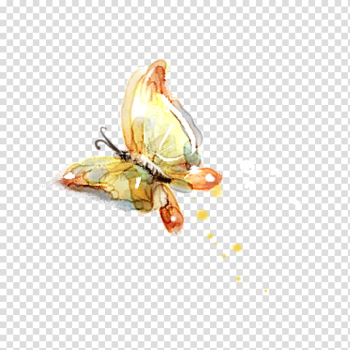 Brown and red butterfly illustration, Butterfly Watercolor painting Ink wash painting, Watercolor butterfly transparent background PNG clipart