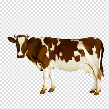 Brown and white cow, Dairy cattle Milk Calf, Watercolor Cow transparent background PNG clipart