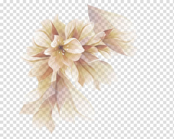 Brown and white flower , Petal Flower, Fantasy Flowers transparent background PNG clipart
