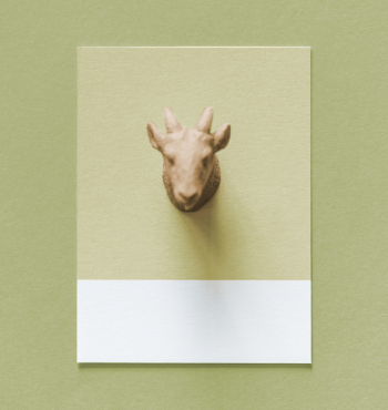 Brown Animal Head Wall Decor Brown Animal Head Wall Decor