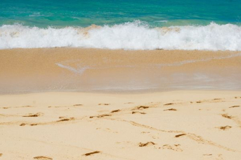 brown beach sand brown beach sand