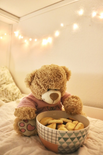 Brown Bear Plush Toy Brown Bear Plush Toy