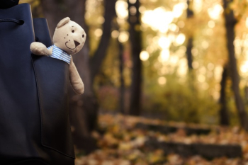 Brown Bear Plush Toy Brown Bear Plush Toy