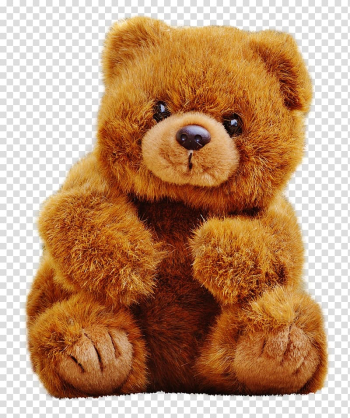 Brown bear plush toy, Gift Teddy bear, Teddy Bear transparent background PNG clipart Brown bear plush toy, Gift Teddy bear, Teddy Bear transparent background PNG clipart