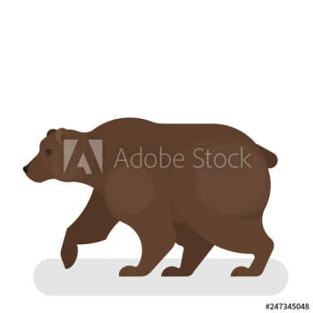 Brown bear wild animal from the forest Brown bear wild animal from the forest