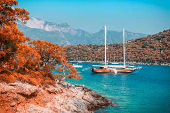 Brown Boat Brown Boat