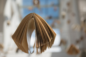 Brown Book Brown Book