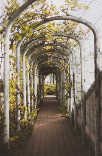 Brown Brick Pathway With White Arch Roof Brown Brick Pathway With White Arch Roof