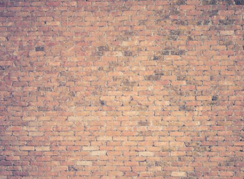 brown brick wall photography