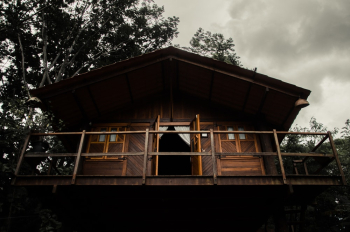 Brown Cabin Brown Cabin