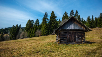 Brown Cabin Brown Cabin