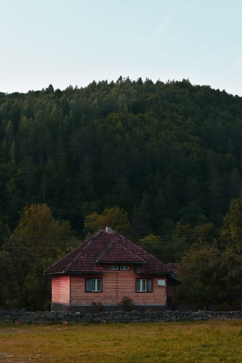 Brown Cabin Near Trees Brown Cabin Near Trees