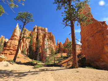 Brown Canyon Brown Canyon