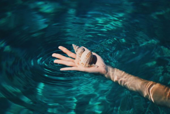 brown conch shell on right human palm brown conch shell on right human palm