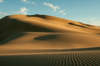 Brown Desert Brown Desert
