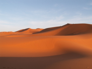 Brown Desert Brown Desert