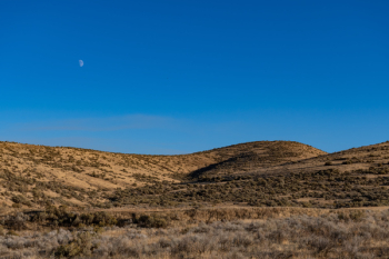 Brown Desert Brown Desert