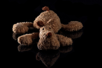 Brown Dog Plush Toy Brown Dog Plush Toy
