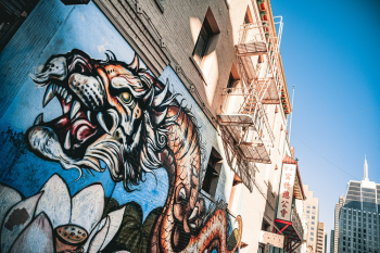 Brown Dragon Wall Paint Brown Dragon Wall Paint