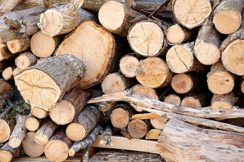 Brown Fire Wood Brown Fire Wood
