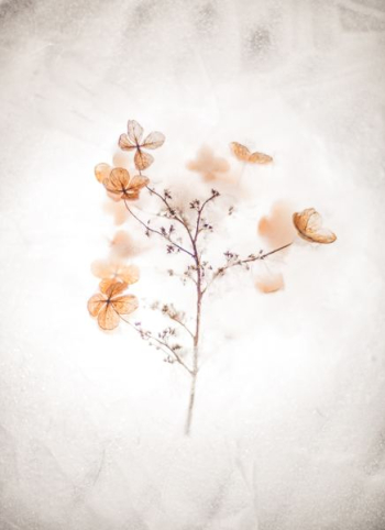 brown floral painting brown floral painting