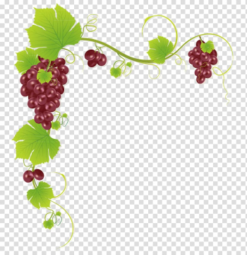 Brown grapes , Common Grape Vine Wine Juice Muscadine grape, Grape frame string transparent background PNG clipart