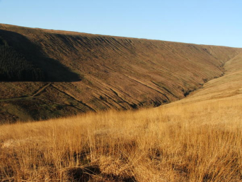 Brown Grassland Landscape Brown Grassland Landscape