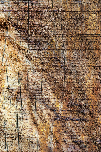 Brown grunge wood texture | Free illustration - 2252717 Brown grunge wood texture | Free illustration - 2252717