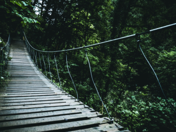 Brown Hanging Bridge Brown Hanging Bridge