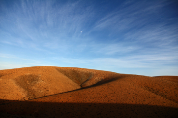 Brown Hills during Day Brown Hills during Day