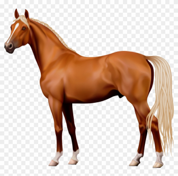 Brown Horse Png Clipart - Horse Png Brown Horse Png Clipart - Horse Png