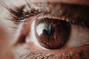 Brown Human Eye Brown Human Eye